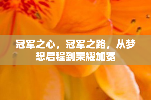 从梦想启程到荣耀加冕图片