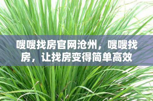 让找房变得简单高效图片