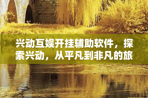 兴动互娱开挂辅助软件图片