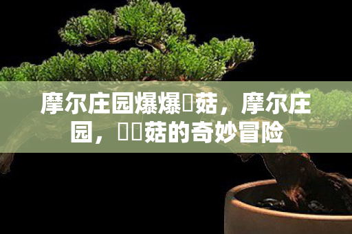 摩尔庄园爆爆囧菇图片