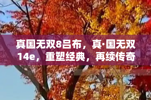 真国无双8吕布图片