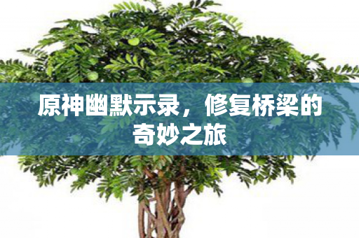 修复桥梁的奇妙之旅图片