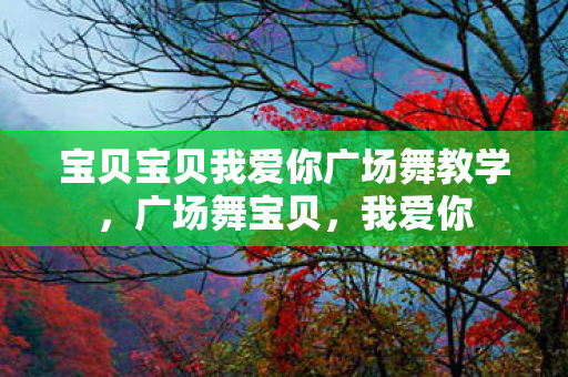 宝贝宝贝我爱你广场舞教学图片