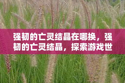 探索游戏世界中的神秘力量图片