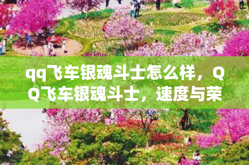 qq飞车银魂斗士怎么样，QQ飞车银魂斗士，速度与荣耀的极致追求