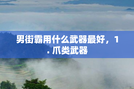 男街霸用什么武器最好图片