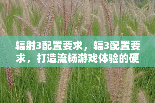 打造流畅游戏体验的硬件指南图片