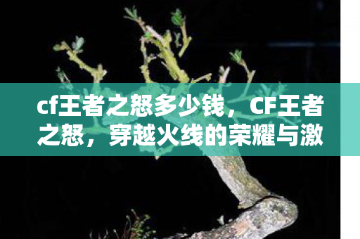 穿越火线的荣耀与激情图片