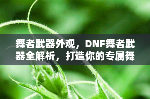 DNF舞者武器全解析图片