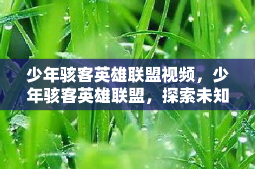 少年骇客英雄联盟视频图片