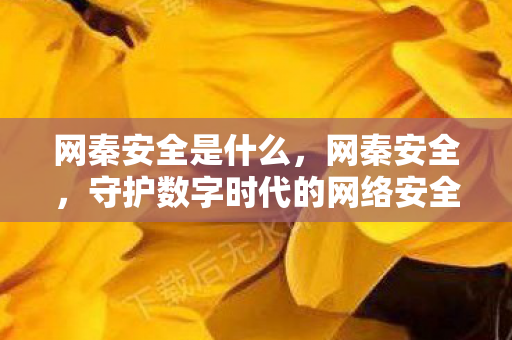 守护数字时代的网络安全防线图片