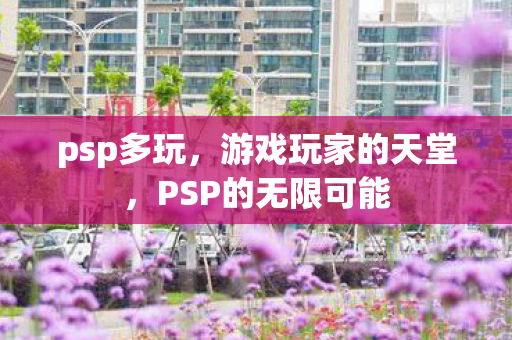PSP的无限可能图片