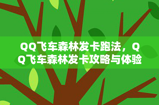 QQ飞车森林发卡跑法，QQ飞车森林发卡攻略与体验分享