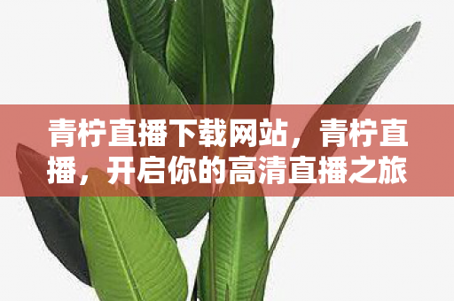 开启你的高清直播之旅图片