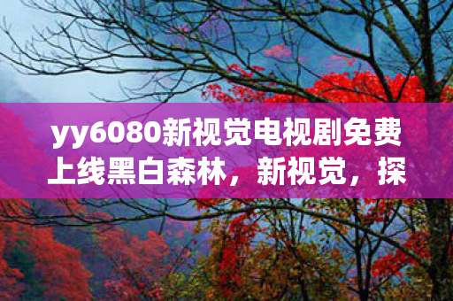 yy6080新视觉电视剧免费上线黑白森林图片