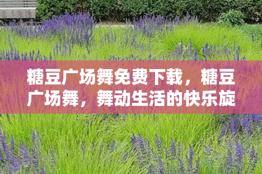 糖豆广场舞免费下载图片