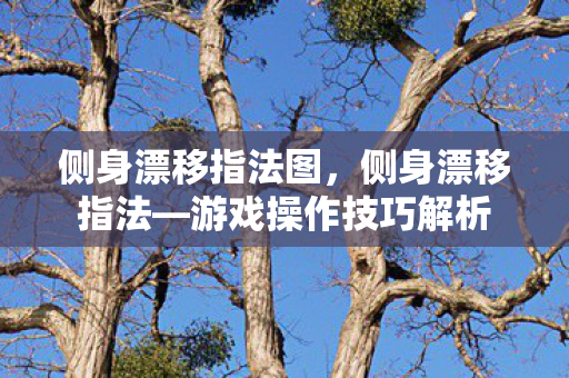 侧身漂移指法图，侧身漂移指法—游戏操作技巧解析