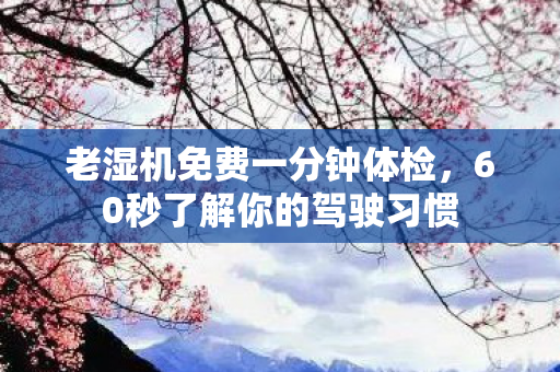 60秒了解你的驾驶习惯图片