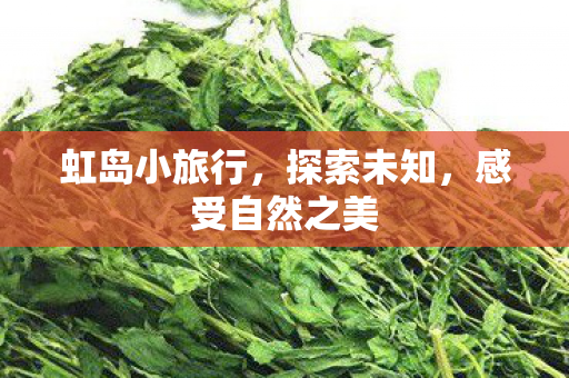 感受自然之美图片