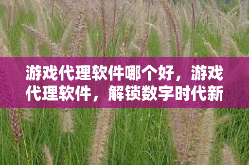 解锁数字时代新机遇的钥匙图片