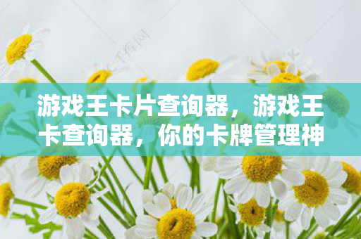 游戏王卡片查询器图片