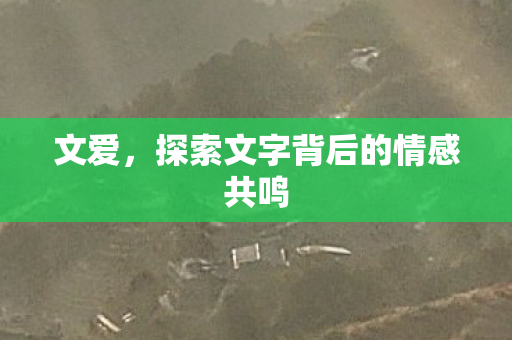 探索文字背后的情感共鸣图片