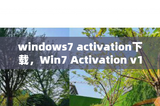 windows7 activation下载图片