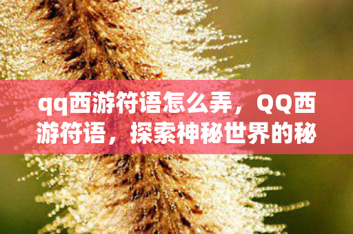 qq西游符语怎么弄，QQ西游符语，探索神秘世界的秘密语言