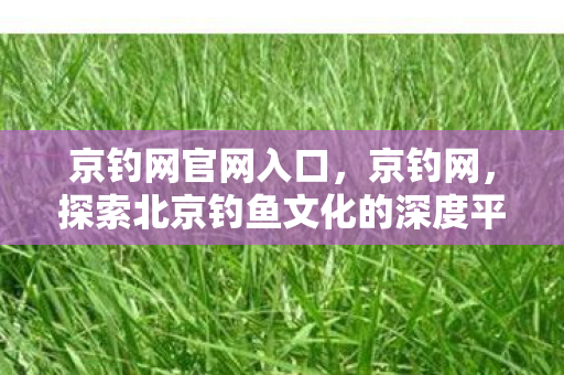 探索北京钓鱼文化的深度平台图片