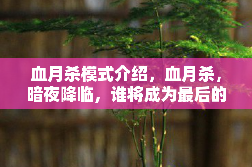 血月杀模式介绍，血月杀，暗夜降临，谁将成为最后的生存者？