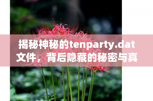 揭秘神秘的tenparty.dat文件，背后隐藏的秘密与真相