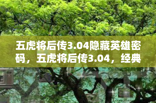 04隐藏英雄密码图片