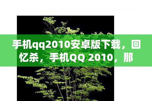 手机qq2010安卓版下载图片