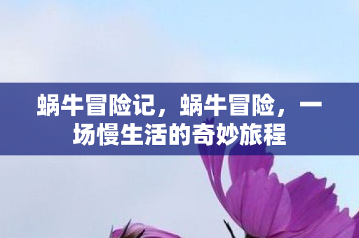 一场慢生活的奇妙旅程图片