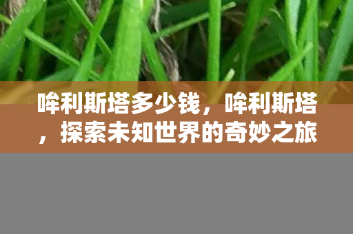 探索未知世界的奇妙之旅图片