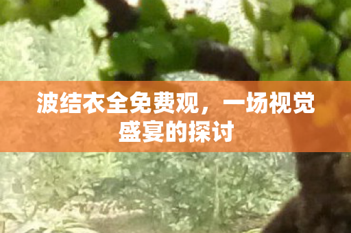 一场视觉盛宴的探讨图片