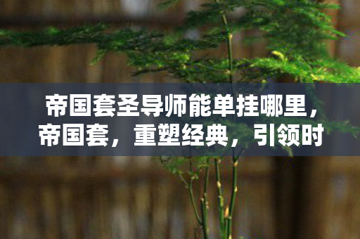 帝国套圣导师能单挂哪里图片