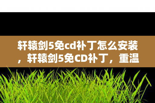 轩辕剑5免cd补丁怎么安装图片