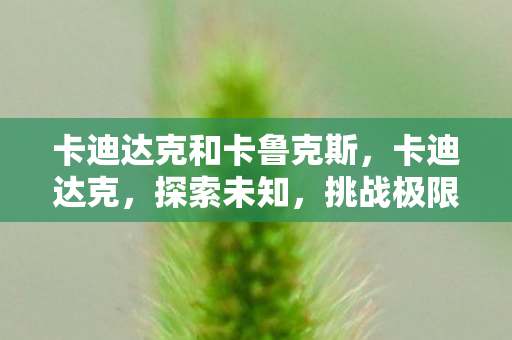 卡迪达克和卡鲁克斯图片