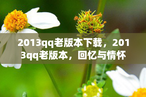 2013qq老版本下载图片