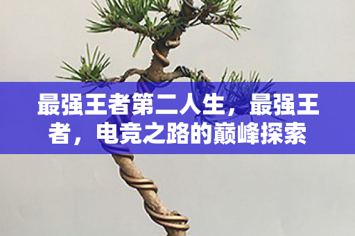 电竞之路的巅峰探索图片