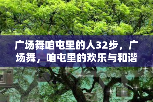 广场舞咱屯里的人32步图片