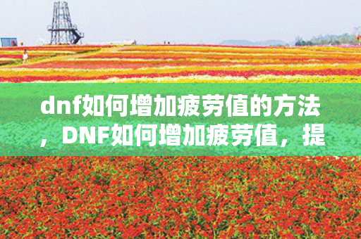 提升游戏效率与体验的全面指南图片