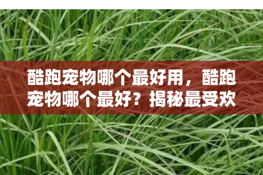 揭秘最受欢迎的宠物选择图片