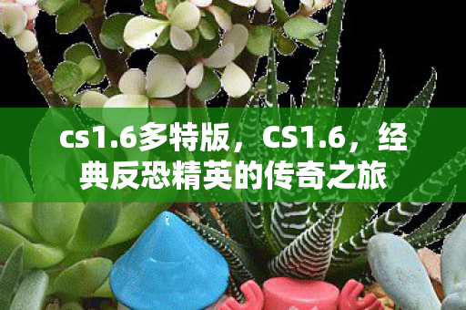 经典反恐精英的传奇之旅图片