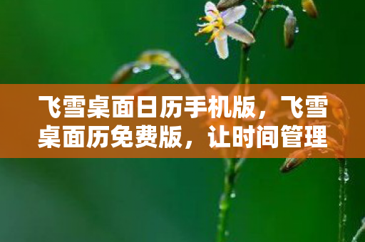 让时间管理变得简单有趣图片