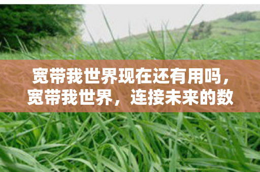 宽带我世界现在还有用吗图片