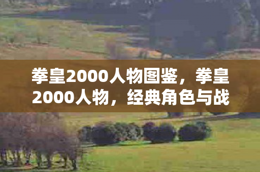 拳皇2000人物图鉴图片