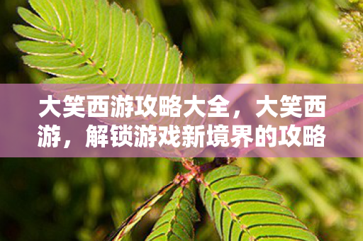 解锁游戏新境界的攻略指南图片