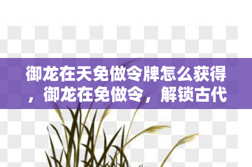 御龙在天免做令牌怎么获得图片